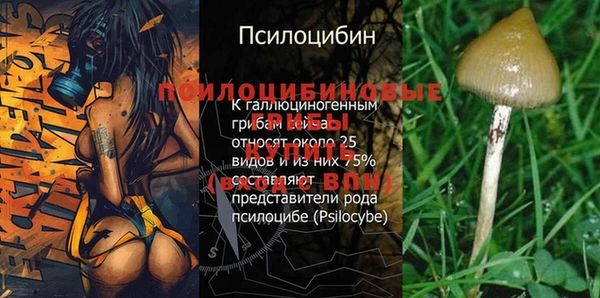 apvp Абаза