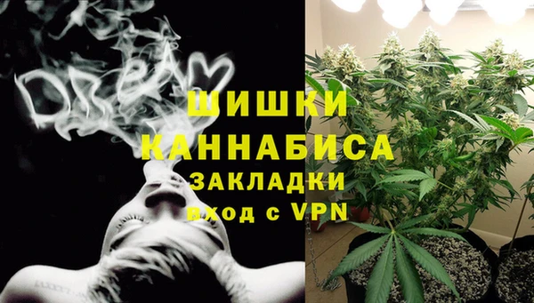 шишки Алзамай