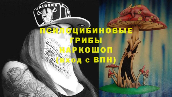 синтетический гашиш Алексин